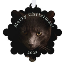Gato Preto Rótulo de Natal e