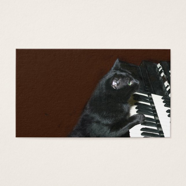 Gato preto toca órgão (Frente)