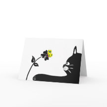 Gato quando vazio do cartão para dentro