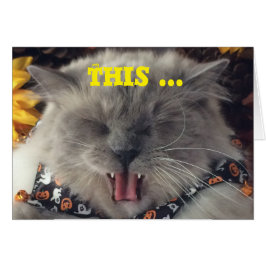 Gato que balança para fora à música, cartão