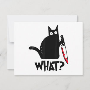 Gato Que_ Engraçado Gato Preto