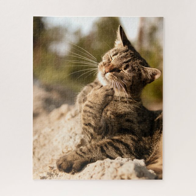 Gato Quebra-cabeça Gato Gatinho Fotografia de Gati (Vertical)