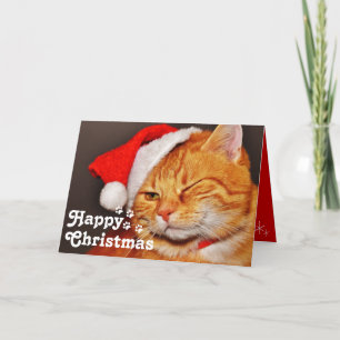 Gato Santa de Olhar Engraçado & Feliz Natal Cartão