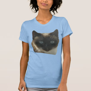 Gato Siamês com T-Shirt Azul Brilhante
