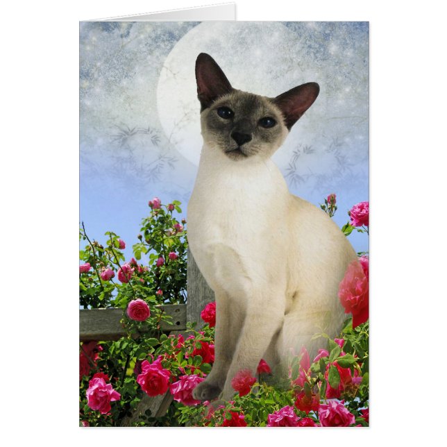 Gato Siamês em cartões de cama de rosa (Frente)