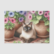 Gato siamês em jardim com papel tecidos de Potes d