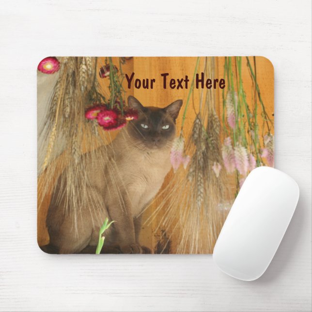 Gato Siamês Possuindo Fotografia Animal Mousepad # (Com mouse)