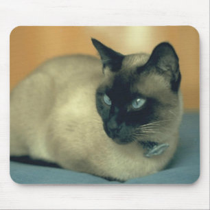 Gato Siamese Mousepad