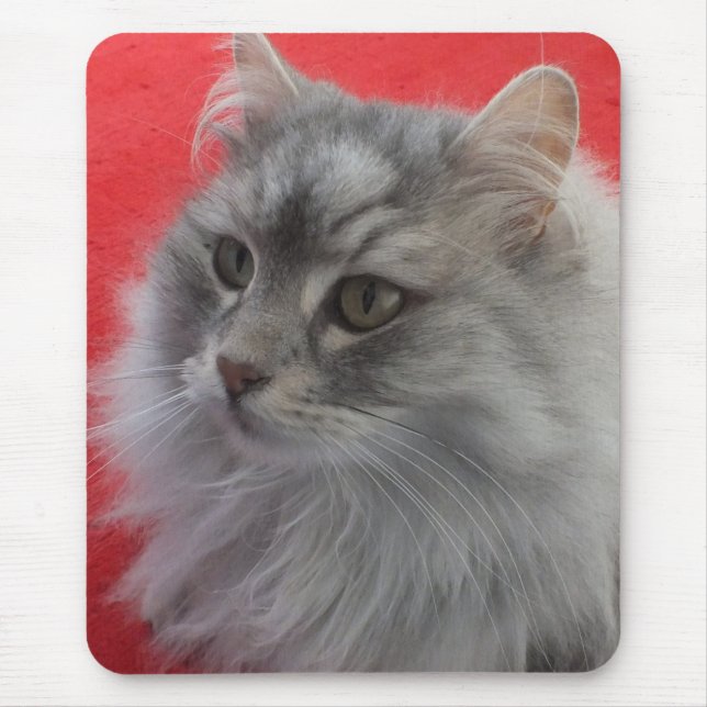 Gato Siberian Mousepad (Frente)