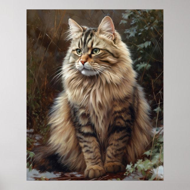 Gato Siberiano Impressão Poster (Frente)