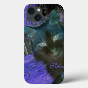Gato Sombra no iPad de Lavanda