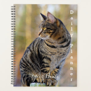 Gato Tabby Cinza - Planejador Diário- HAMbWG