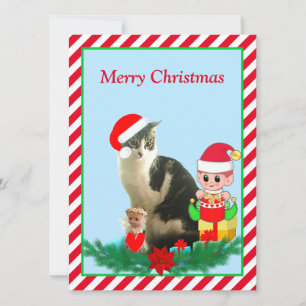 Gato Tabby de Natal, Anjo & Elfo Fofo em Vermelho