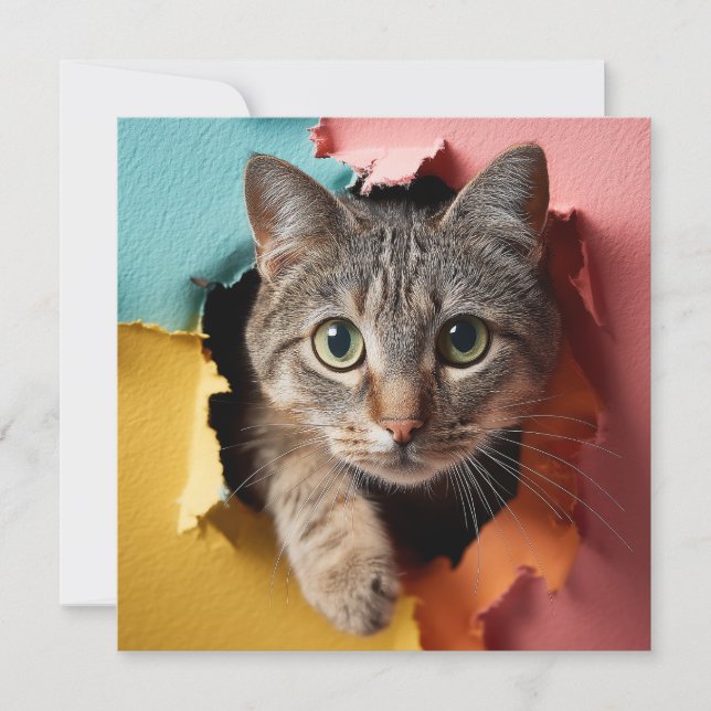 Gato Tabby Jovial Espiando Através de Papel Rasgad (Frente)