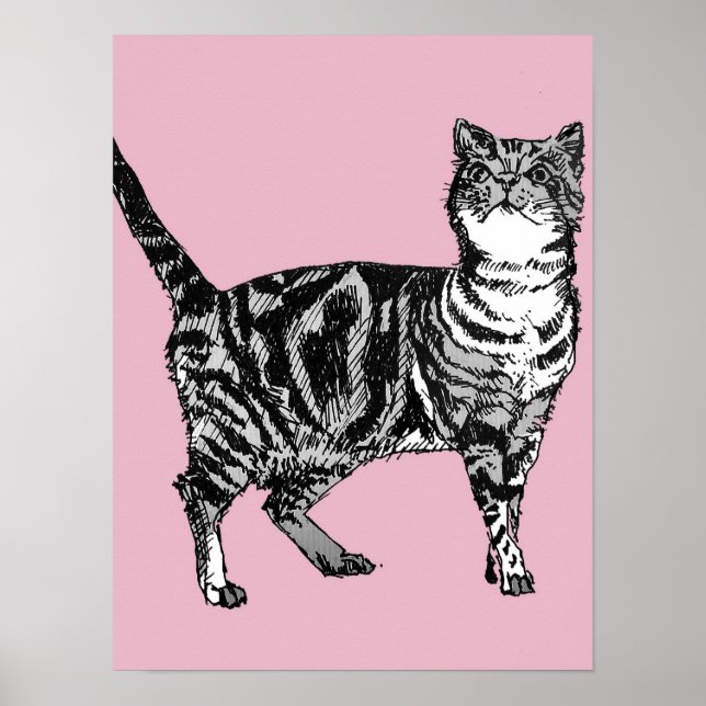 Gato Tabby Listrado Rosa Fofo Arte de Poster de Ga (Frente)