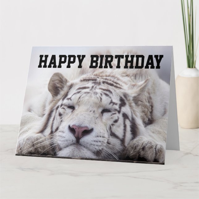 GATO TIGRE BRANCO DORMINDO, COMA BOLO, CARTÃO DE A (Frente)
