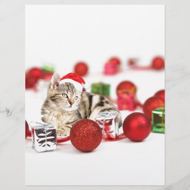 Gato usando enfeite de Natal chapéu vermelho de Pa (Frente)