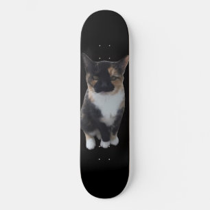 GatoDesaprova Skateboard