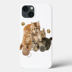 Gatos
