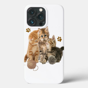 Gatos