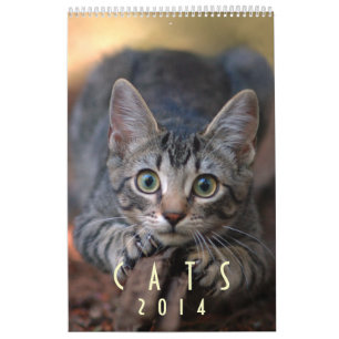Gatos 2014 - Um calendário para amantes do gato