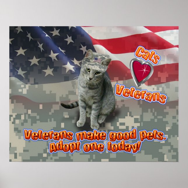 Gatos Adoram Veteranos - Poster (Frente)