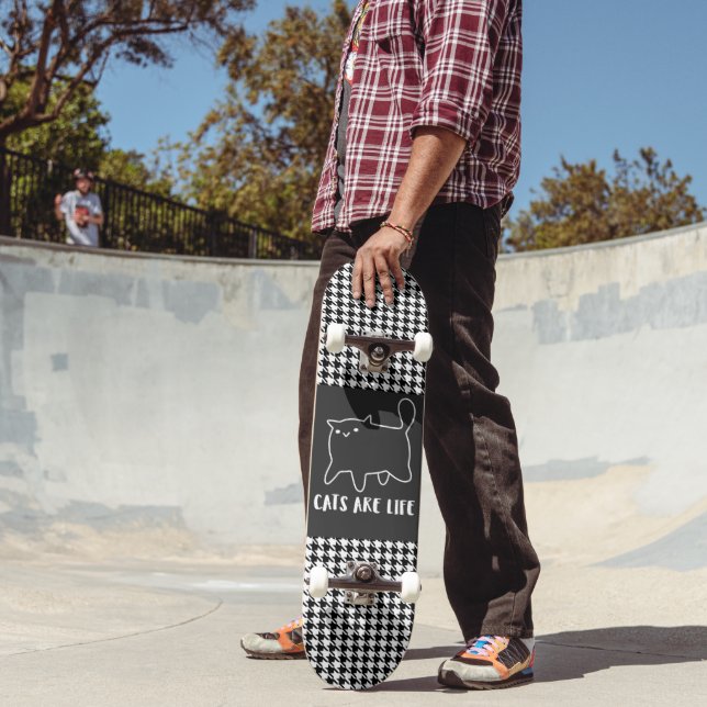 GATOS AMIGOS SÃO PEDAÇOS DO SKATEBOARD DE VIDA (Ao ar livre 2)