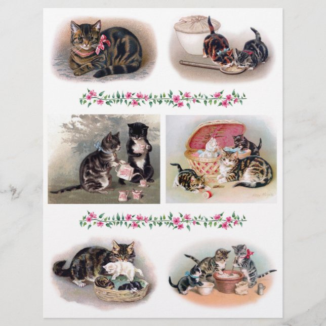 Gatos Antigos Helena Maguire Cortes Delicados com  (Frente)
