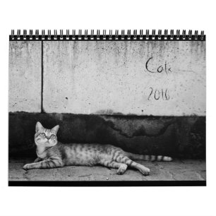 Gatos - calendário 2016