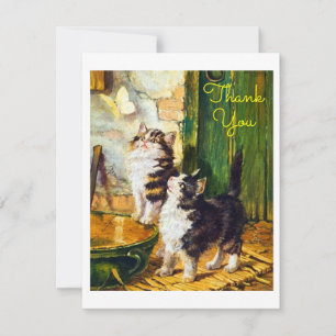 Gatos Curiosos Vintage Borboleta Arte Obrigado