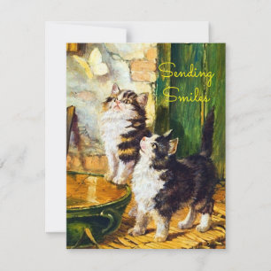 Gatos Curiosos Vintage Borboleta Enviando Sorrisos
