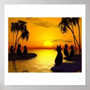 gatos da ilha no poster do por do sol