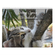 Gatos de Chipre por calendário PaphosLife