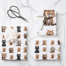 Gatos de laranja de Cinza Negra Branca e Irritada
