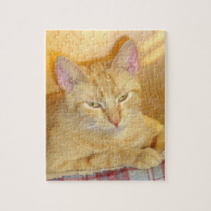 Gatos De Meia 15 Quebra-cabeça