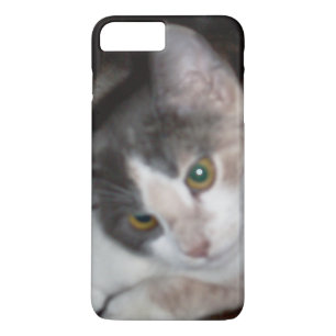 Gatos De Meia 17 capas de iphone