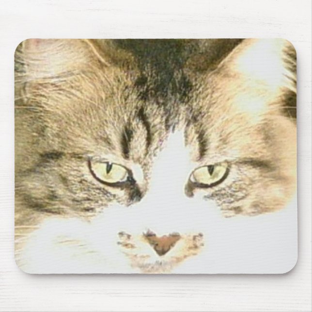 Gatos De Meow 14 Mousepad (Frente)