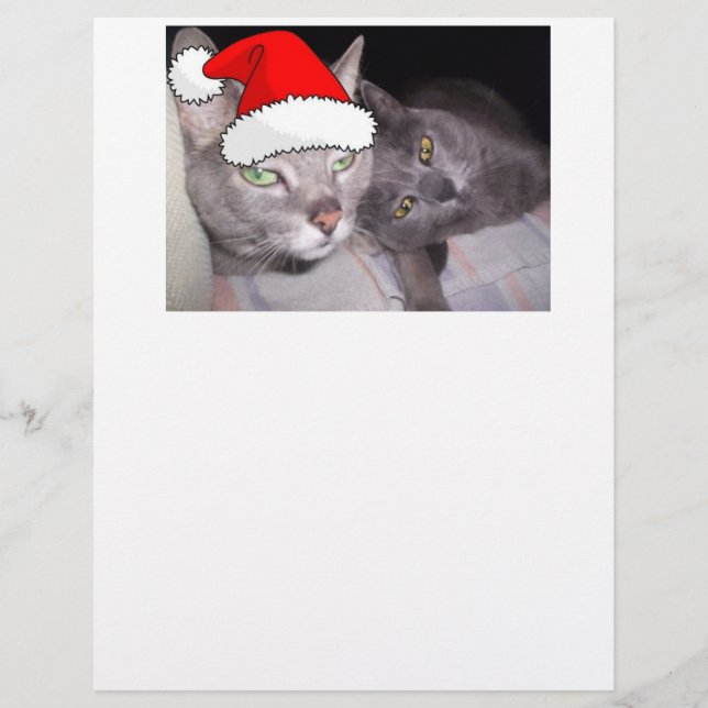 Gatos de Natal (Frente)