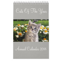 Gatos Do Ano Calendário Anual 2018