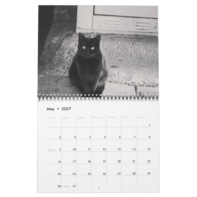 Gatos do Calendário ISTANBUL (Maio 2027)