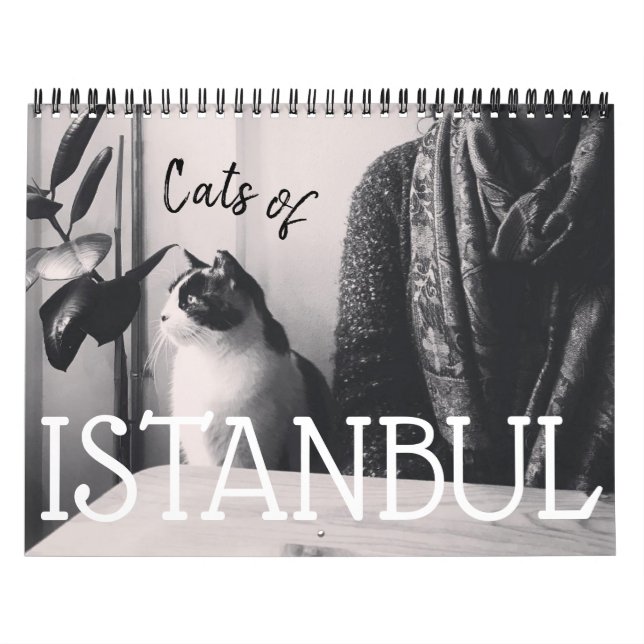 Gatos do Calendário ISTANBUL (Capa)