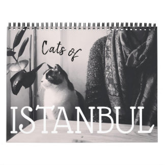 Gatos do Calendário ISTANBUL