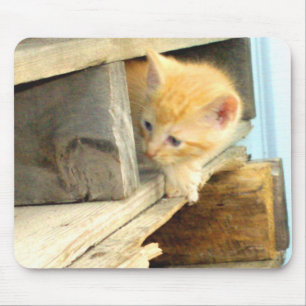 Gatos do Meow 1 MousePad