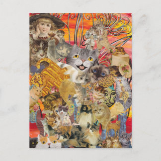 Gatos e cartões postais de abundância