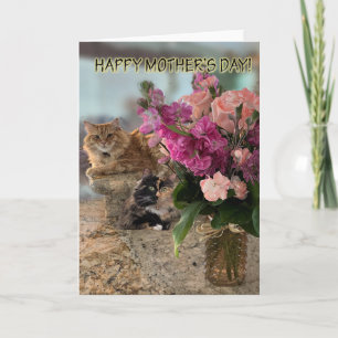 Gatos e Flores para Cartão do Dia das Mães
