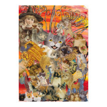 Gatos e Impressão de abundância