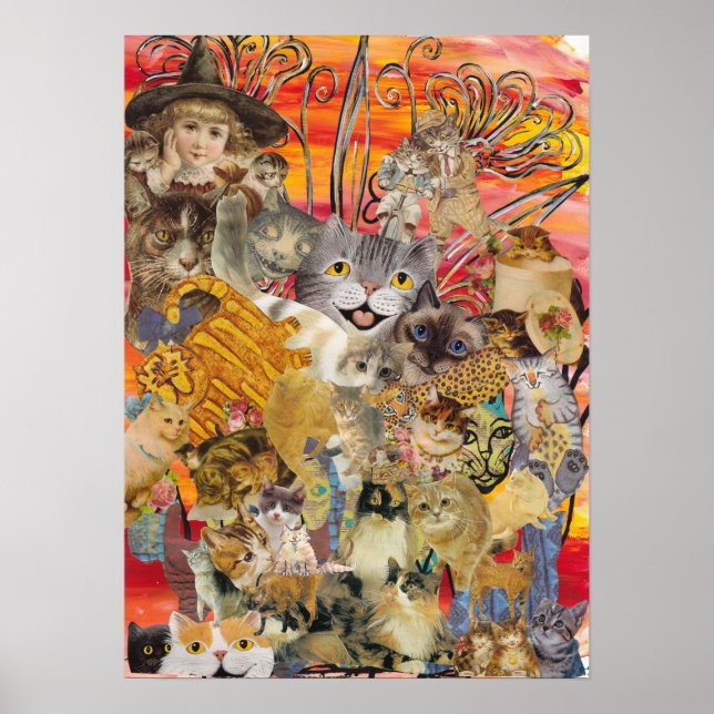 Gatos e Impressão de abundância (Frente)