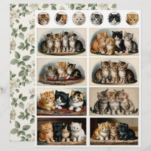 Gatos em estilo retrô Ephemera Cortes exigentes