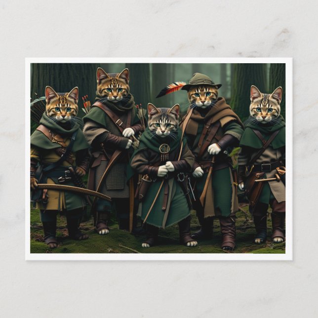 Gatos engraçados. Cartão postal (Frente)
