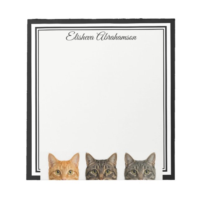 Gatos Engraçados Espiando Bloco de Notas (Frente)